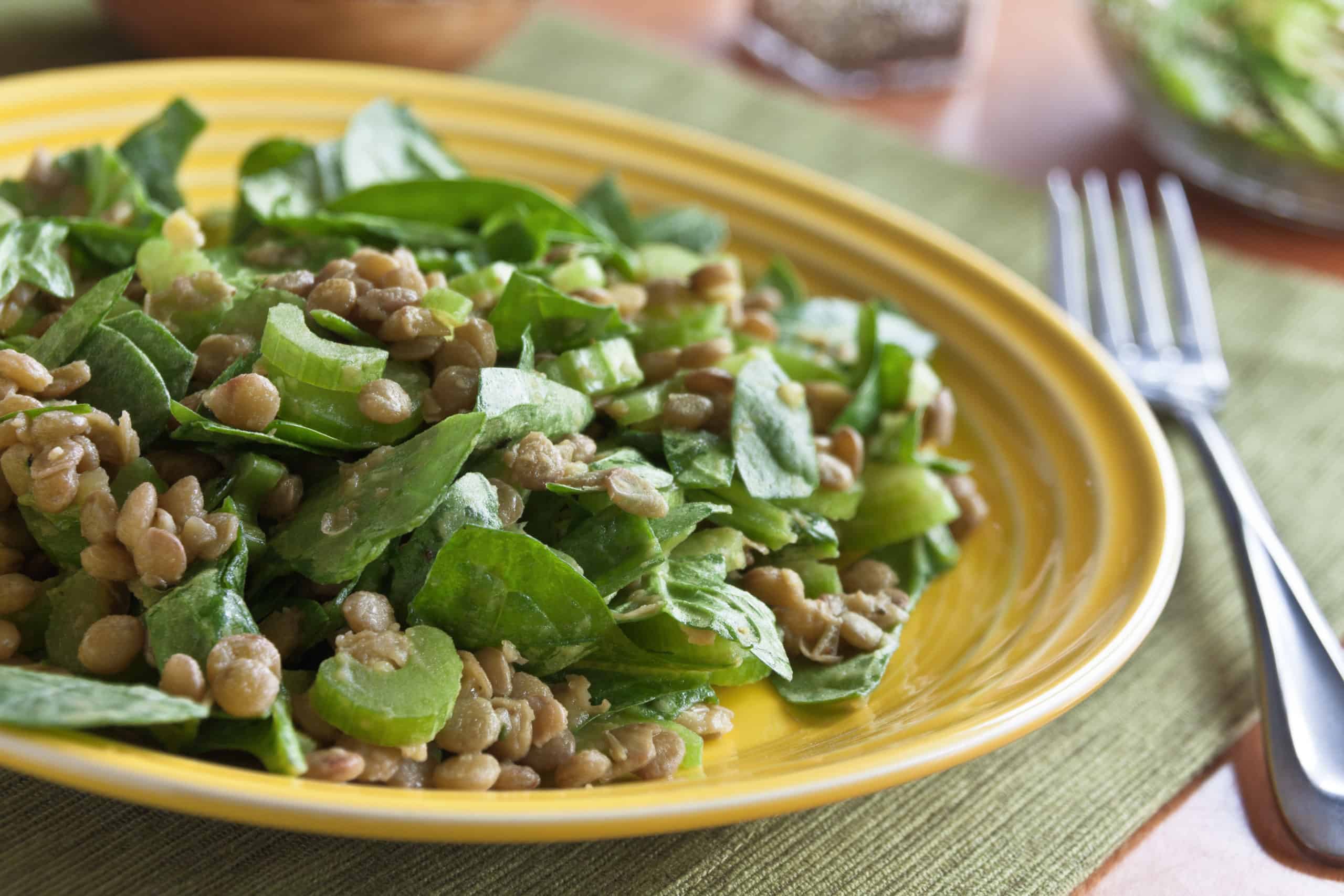 Lentil Spinach Salad - Guiding Stars