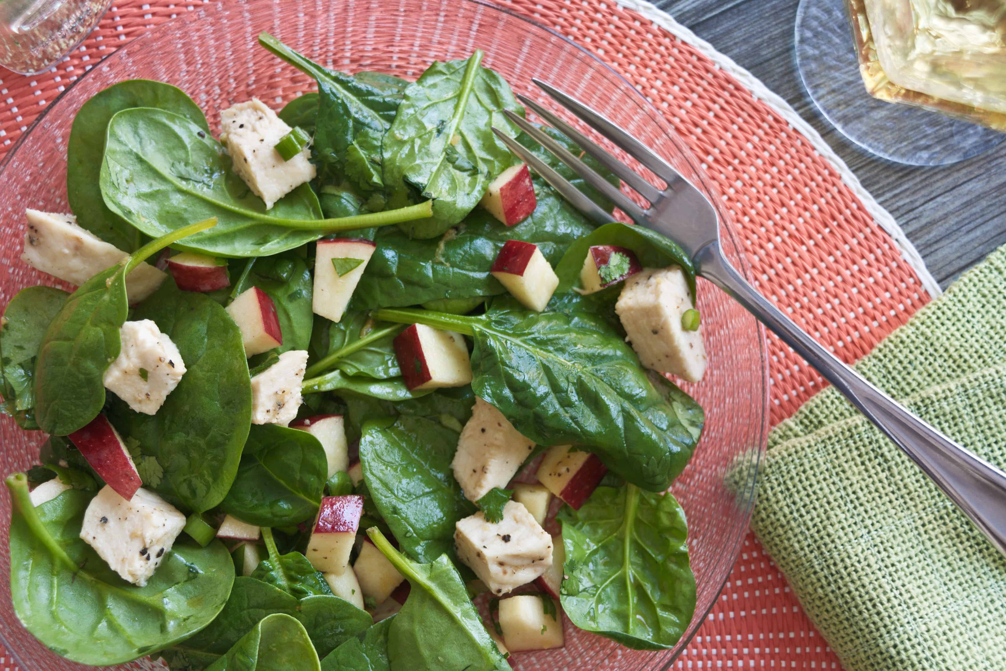 asian-apple-chicken-salad-guiding-stars