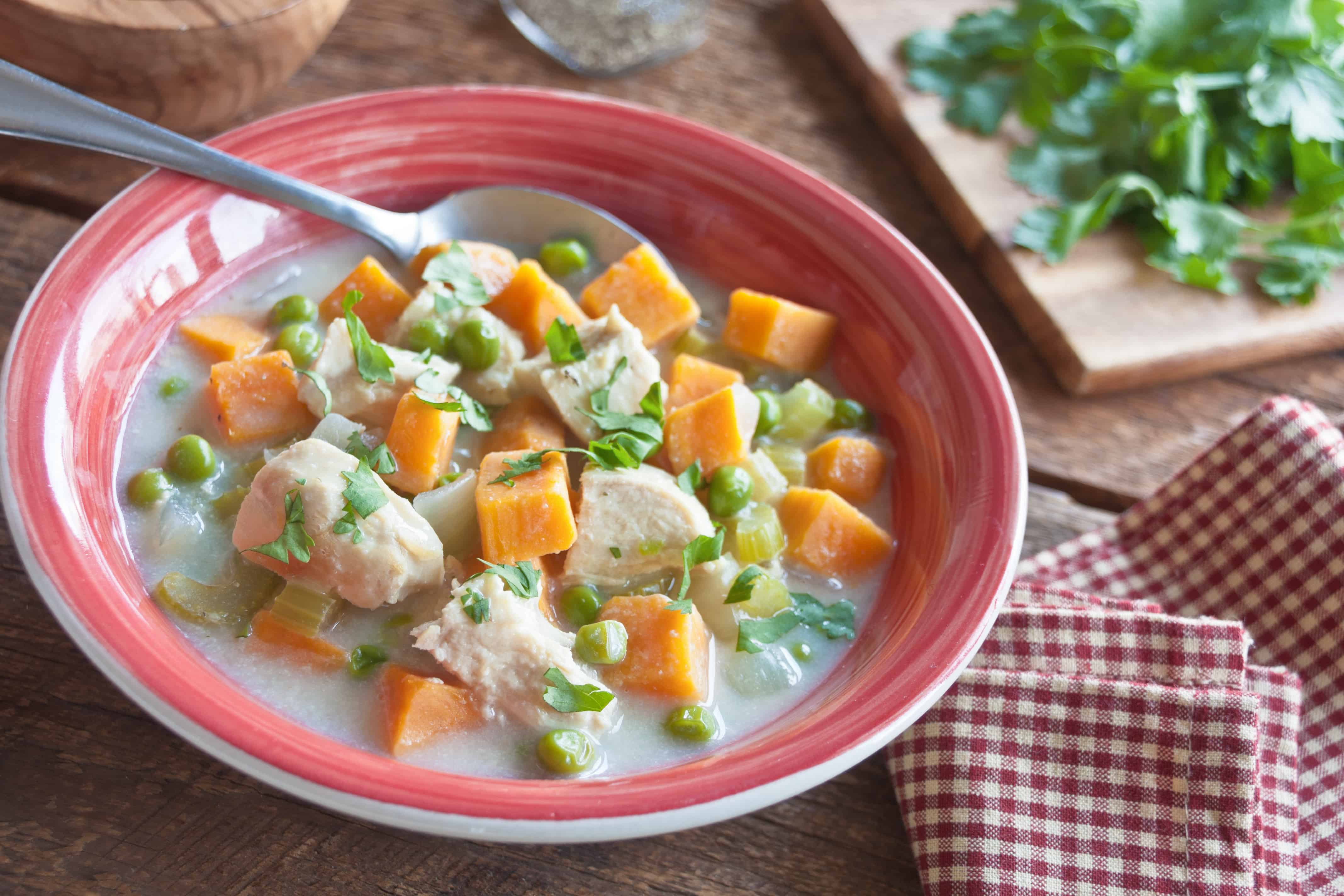 Turkey Sweet Potato Soup - Guiding Stars