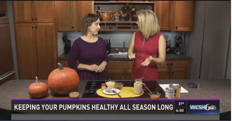 Kit talks with WCSH6 about pumpkins