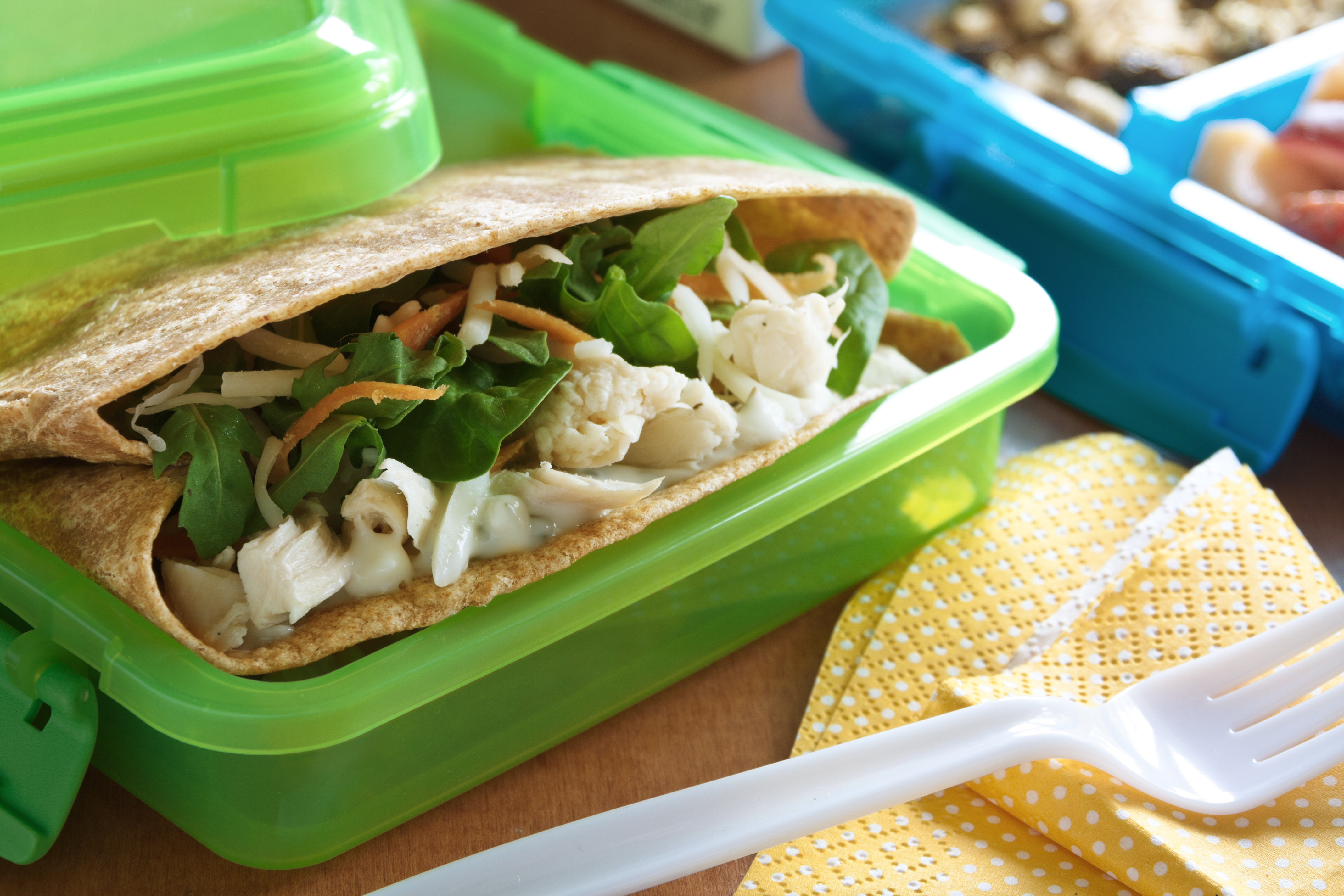 Chicken Spinach Wraps - Guiding Stars