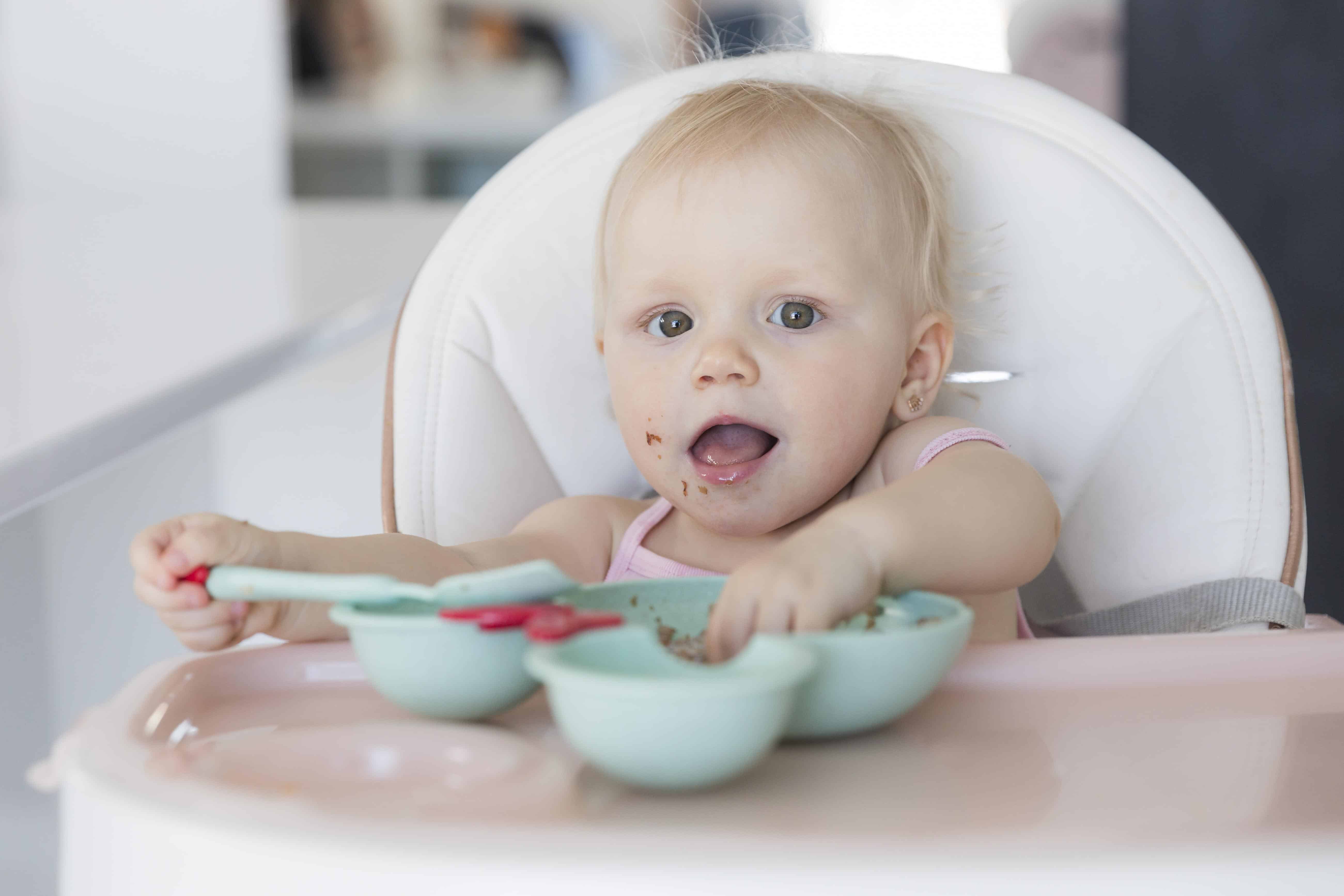 Infant and Toddler Feeding from Birth to 23 Months: Making Every Bite Count  – Food Insight