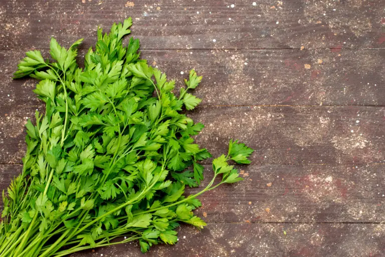 parsely-image